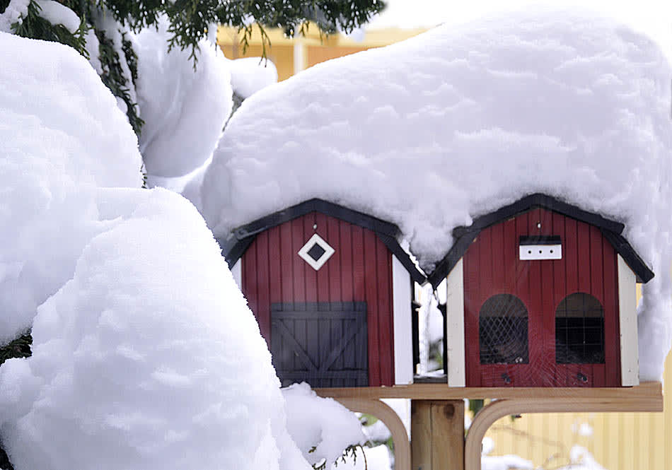 Kanske får vi snö lite längre fram! Se då till att fåglarna inte saknar mat!
Arr + foto: Sylvia Svensson