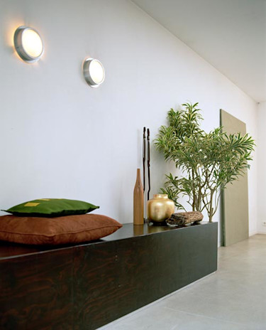 Dracena. Att inreda med gröna växter är att inreda för hälsan. Foto: Flower Council of Holland.