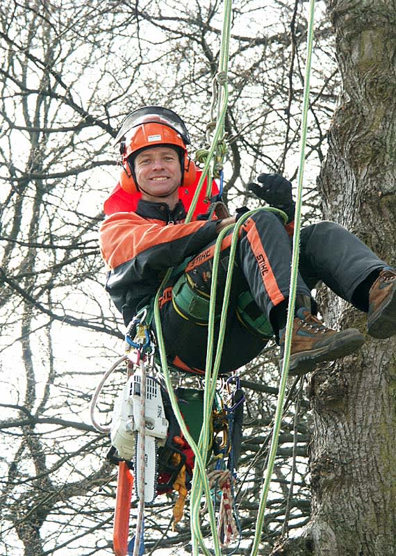 Kanske behöver du anlita en arborist om du har stora eller svårklippta träd?
Foto: Sylvia Svensson