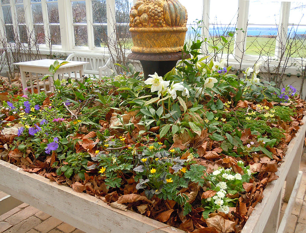 Utställningsbord med vårblommor.
Foto: Sylvia Svensson