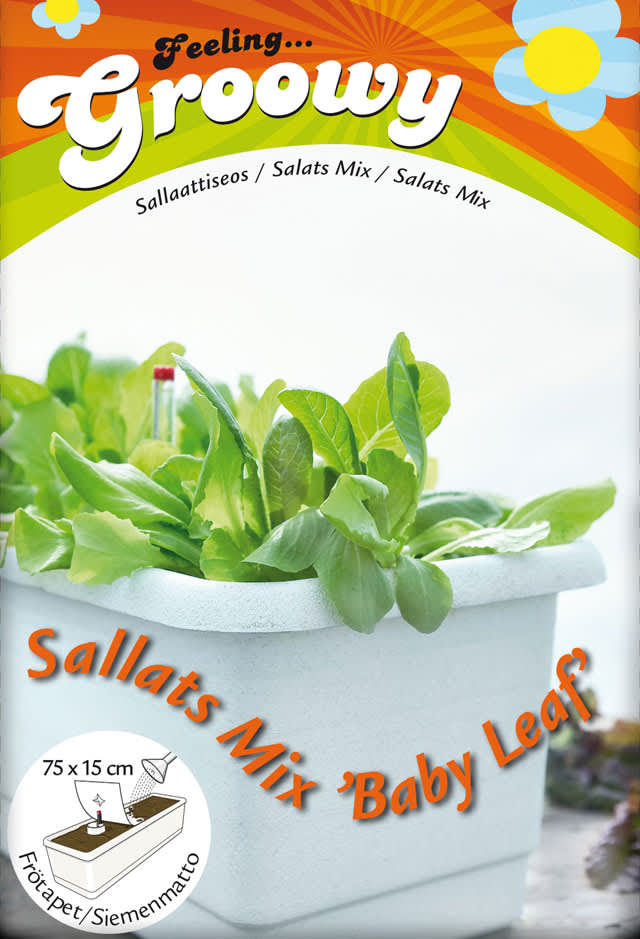 Sallats mix "baby leaf". Sex sorters sallat, skörda från sidorna och ät med hemgjord dressing. Foto: Nelson Garden.