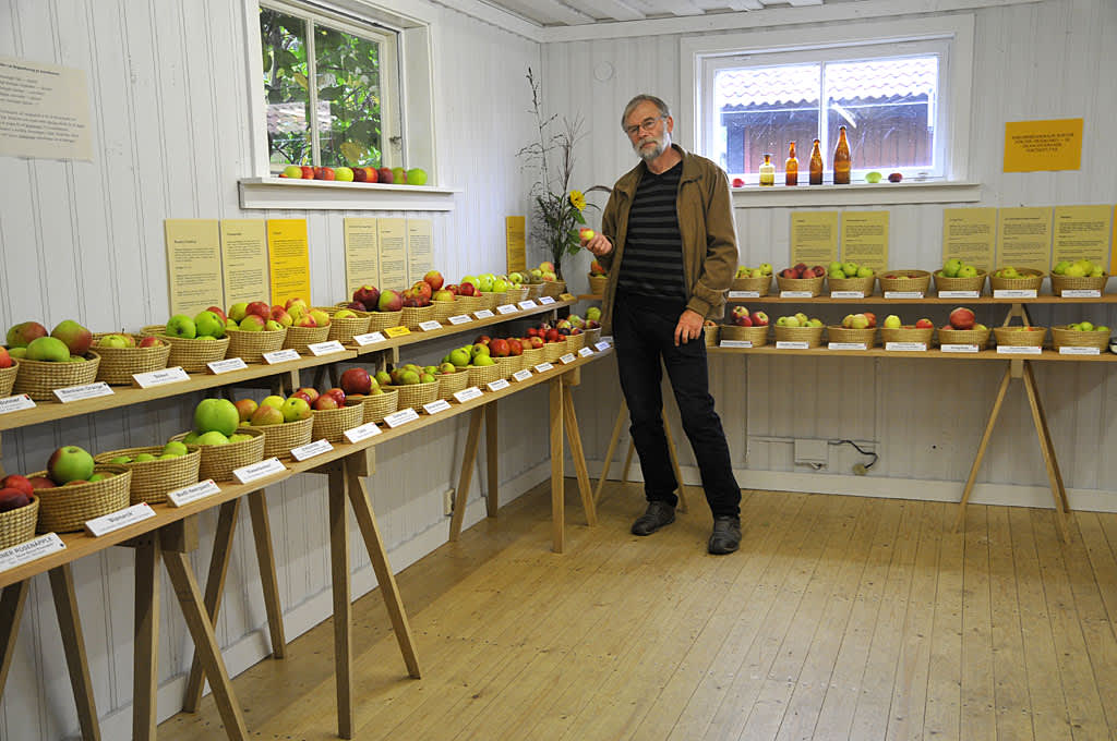 Botaniskas intendent Björn Aldén är ansvarig för utställningen. Foto: Sylvia Svensson