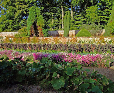 Chateau de Miromesnil, Frankrike - muromgärdad potager
Foto: Sylvia Svensson