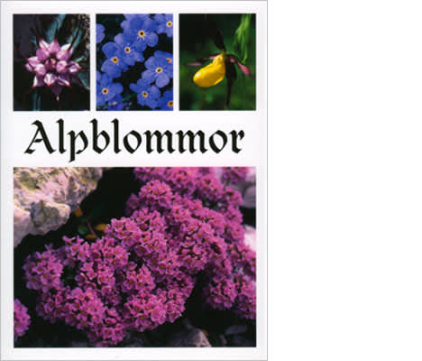 Boken av Ewa Hellström-Boström om alpernas blommor.