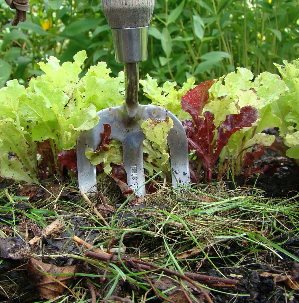 Täckodling är ett smart sätt att härma naturen!