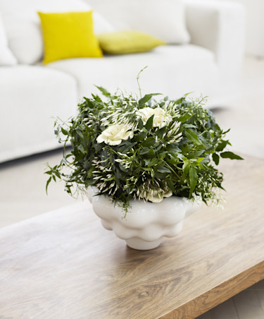 Jasmin