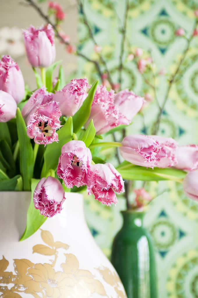 Rosa tulpaner och ljusgrön fondvägg ger en fin kontrast. Foto: Blomsterfrämjandet