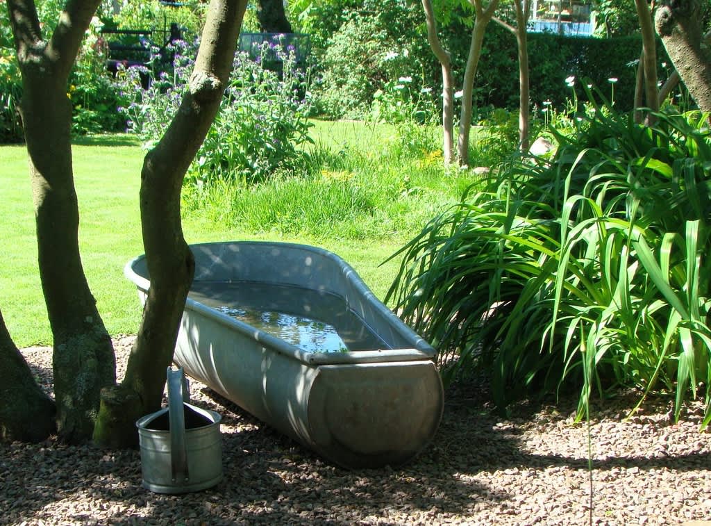 Gräsmattan kan täcka stora delar av trädgården eller vara en detalj bland många andra. Vilken funktion den än fyller behöver den omvårdnad för att växa sig stark, grön och tålig. Foto: Katarina Kihlberg