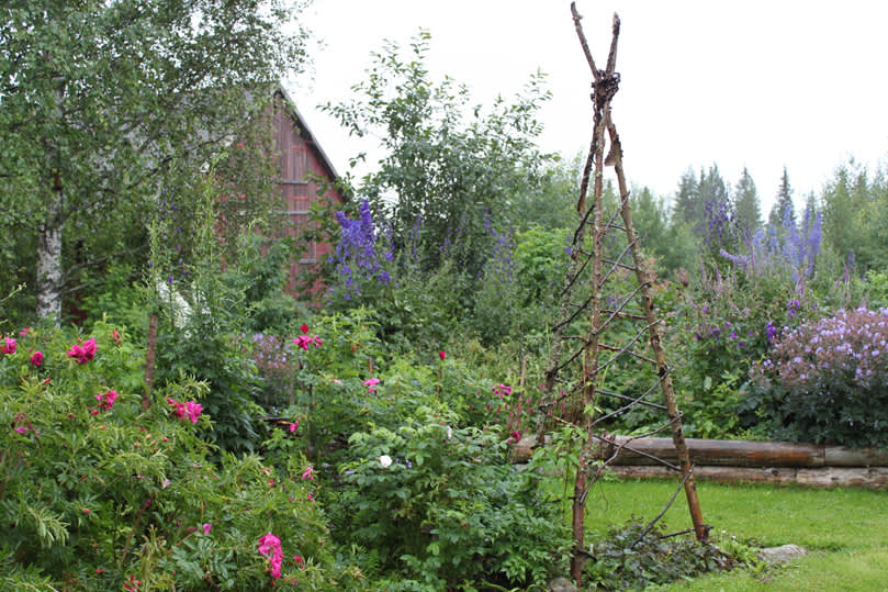 12 augusti 2012 öppnas trädgårdar i hela landet för besökare. Bilden är från Mariana Mattssons trädgård i Blåviksjön, som deltar i Tusen Trädgårdar. Foto: Gunnel Carlson 

