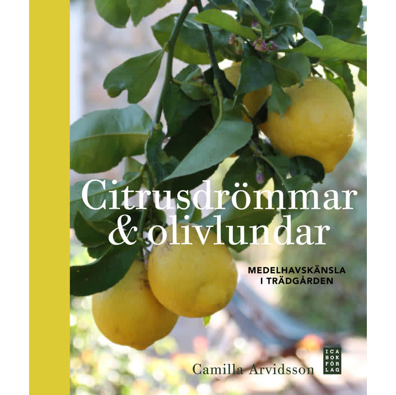 Citrusdrömmar och olivlundar
Foto: Ica Bokförlag