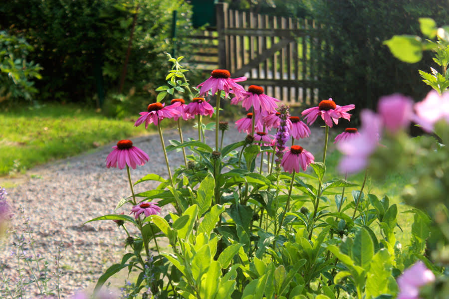 Sensommar! //Foto: Anna Theorin