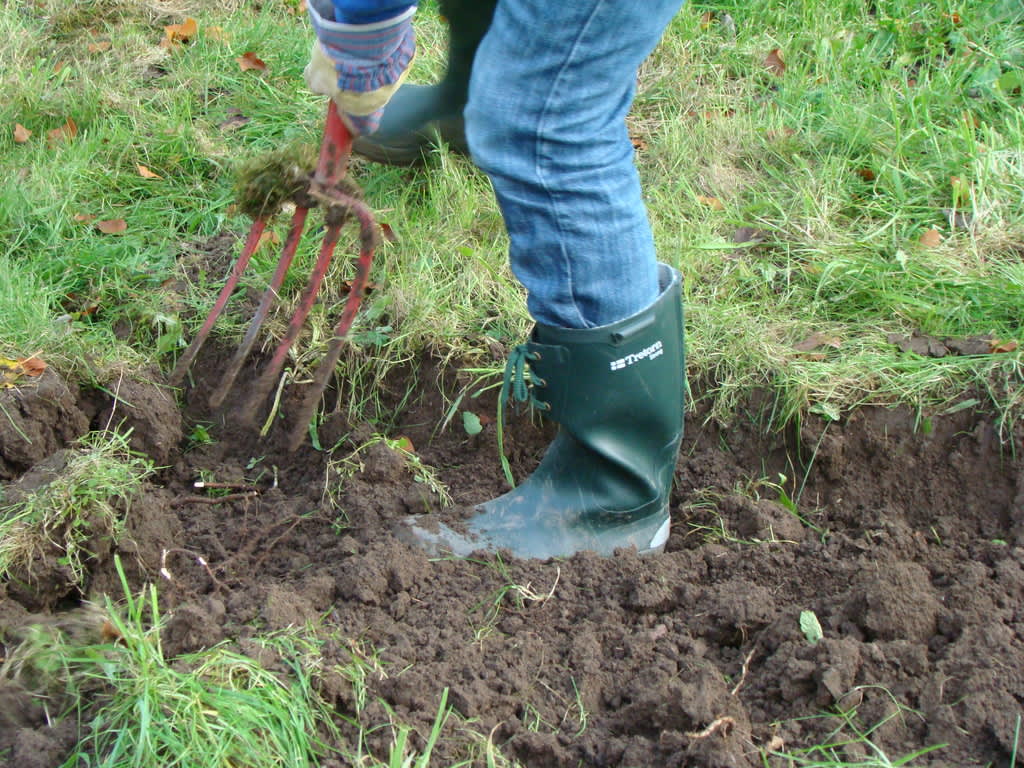 Trädgårdsarbete kostar ingenting! Särskilt inte när man låter maken gräva! 
Foto: Katarina Kihlberg