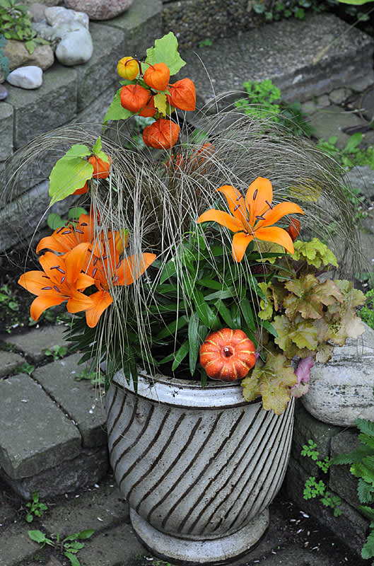 Judekörs, orange liljor, bronsstarr och alunrot. Foto: Bernt Svensson, arr: Sylvia Svensson