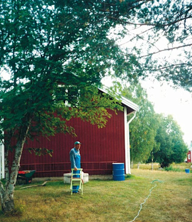 En gammal odalman på väg att plocka vinbär.