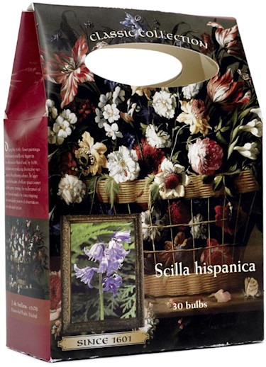_Scilla_.