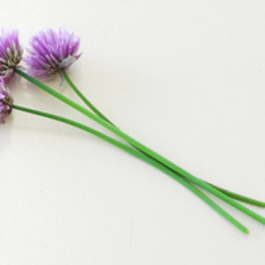**Gräslök**, _Allium schoenoprasum_