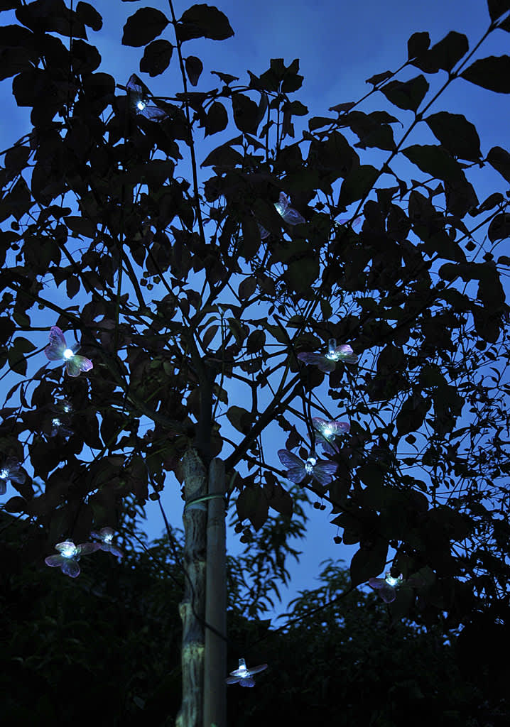 Häng en motivljusslinga i trädet - här med fjärilarFoto: Sylvia Svensson