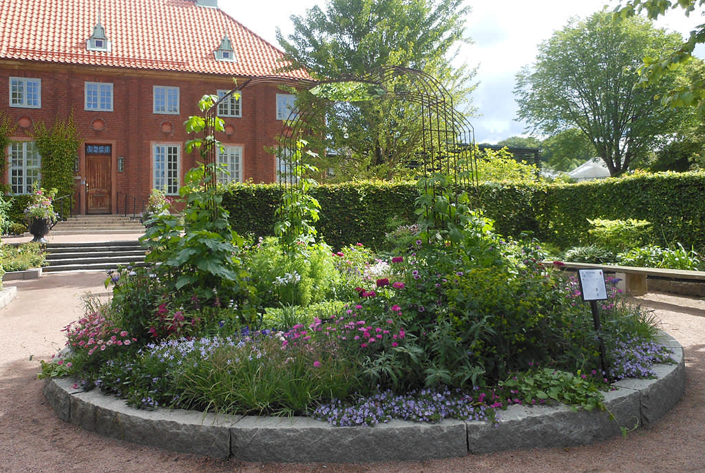 Sommarblommorna har kommit på plats. Foto: Sylvia Svensson