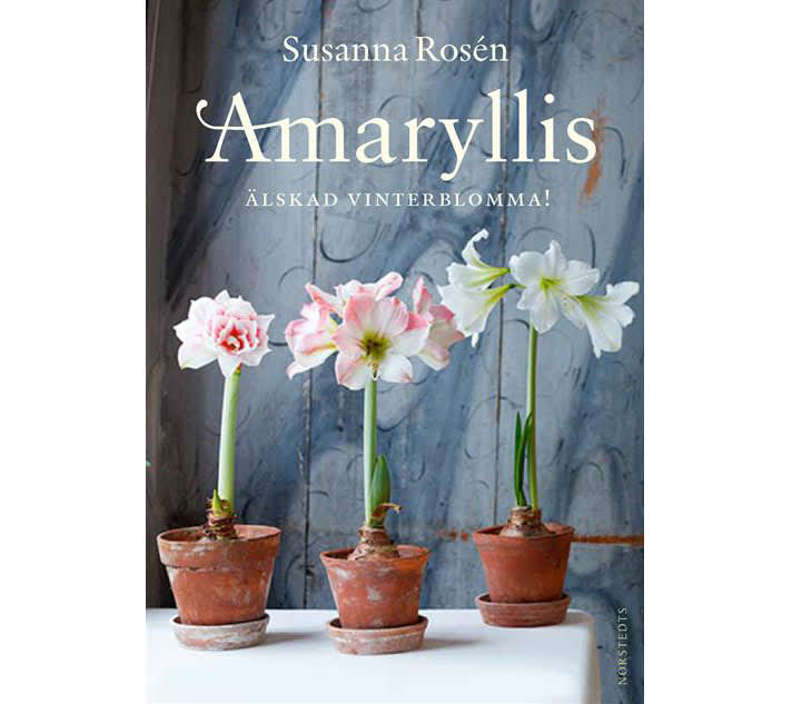 Amaryllis
Älskad vinterblomma!