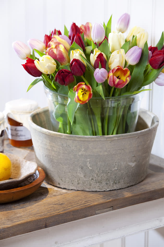Tulpaner i milda färger placerade i dubbla vaser. Foto: Blomsterfrämjandet