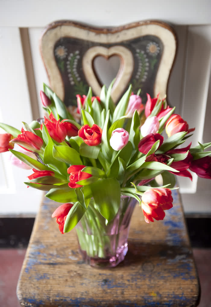 Tulpanbukett i rött och rosa
Foto: Blomsterfrämjandet