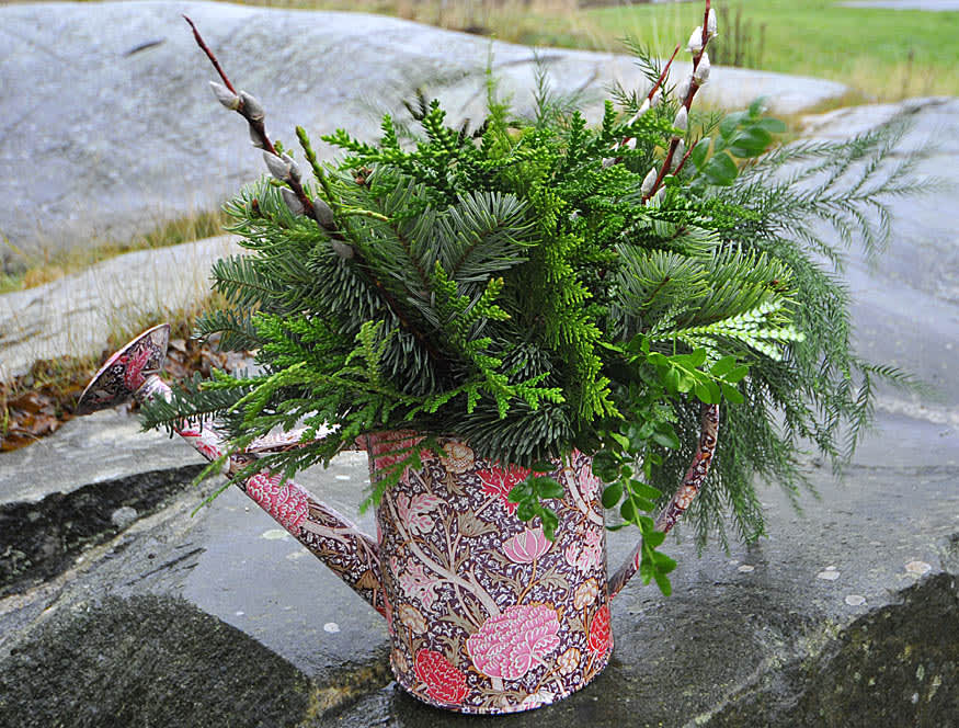 Julklapp till en trädgårdsvän! Vacker kanna med vintergröna kvistar.
Foto: Bernt Svensson Arr: Sylvia Svensson