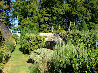 Chateau de Miromesnil, Frankrike - muromgärdad potager
Foto: Sylvia Svensson