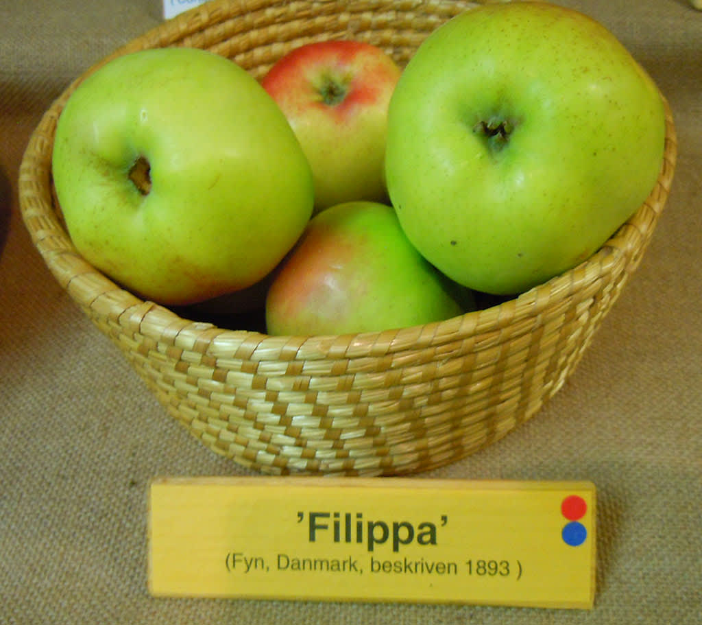 'Filippa'.
Foto: Sylvia Svensson