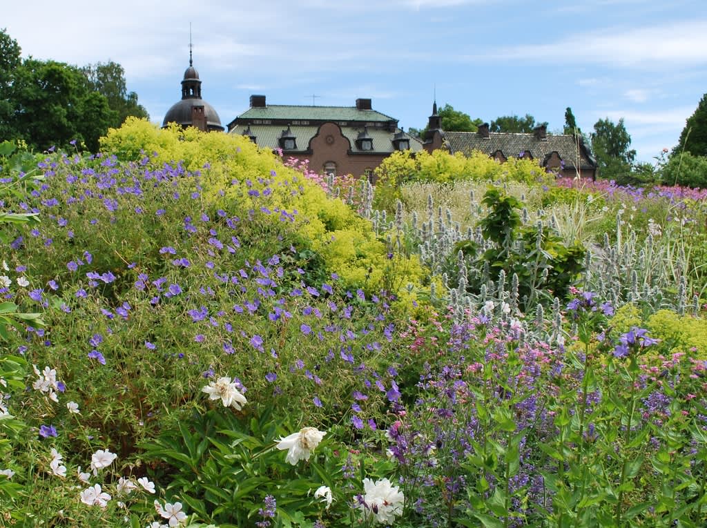 Den vackra slänten i Engsholms slottpark.