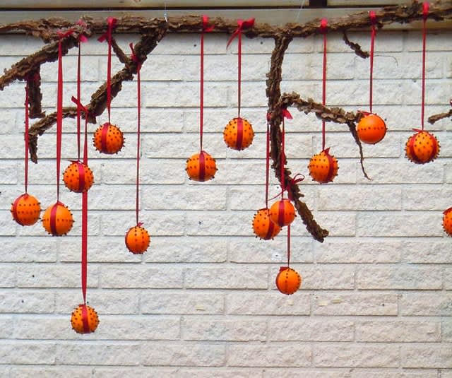En pomander! Apelsiner dekorerade med kryddnejlikor och röda band.
Foto: Sylvia Svensson