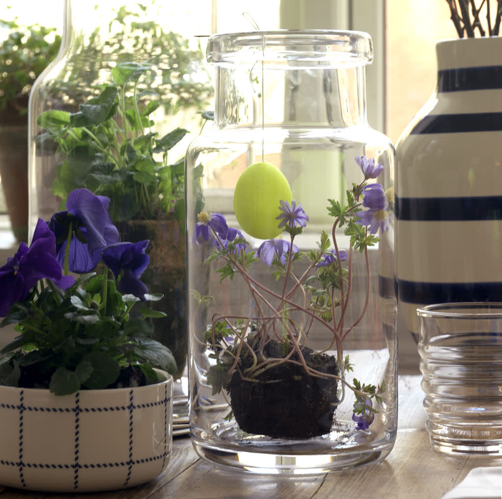 Sätt växter i glasvaser. Mycket vackert! 
Foto: Sofie Helsted och Mille Fly