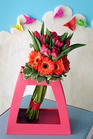 Tulpan, _Tulipa_.