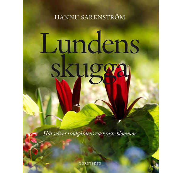 Lundens skugga av Hannu Sarenström. Foto: Norstedts