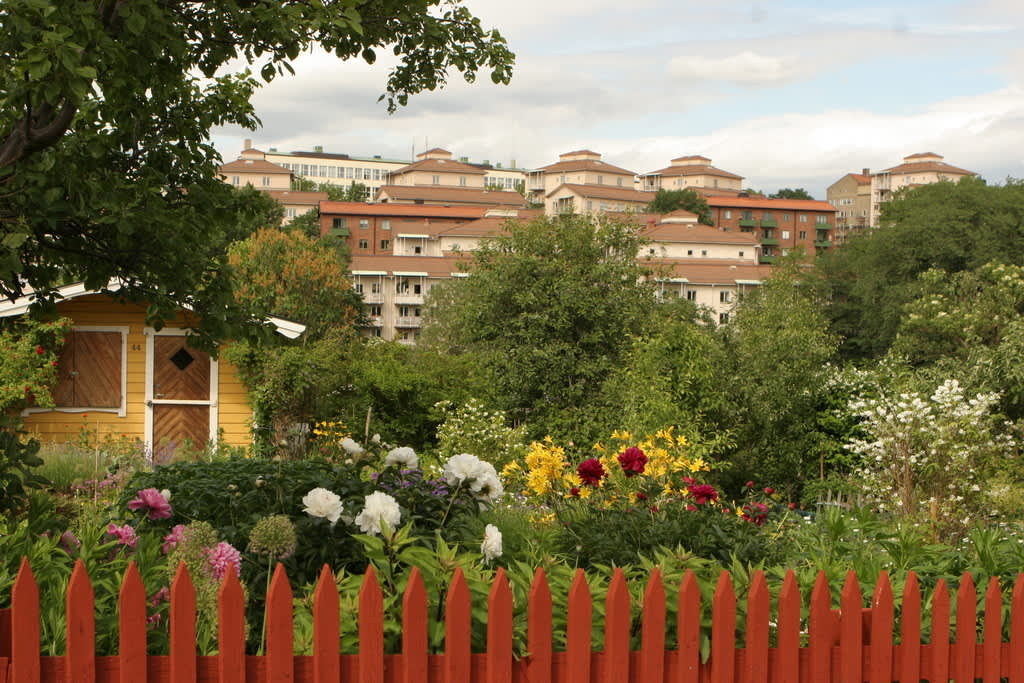 Härlig vy från kolonin Tanto Norra på Södemalm i Stockholm.