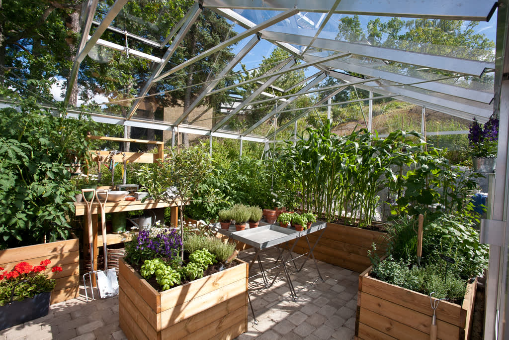 Att odla i krukor och upphöjda bäddar i växthuset har sina fördelar. Och dessutom är det vackert! Foto: Willab Garden