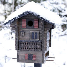 Multiholk Fjällstugan fungerar både som fågelbord och fröautomat. [Finns hos Odla.nu](http://erbjudande.odla.nu/ff/?utm_source=odla&utm_medium=webb&utm_campaign=shopspalt1). Foto: Wildlife Garden