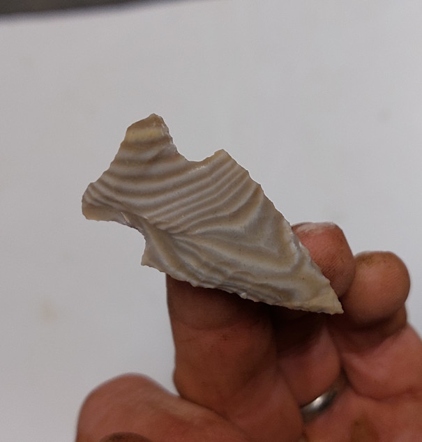 Šipka – Šipka typu Štramberk