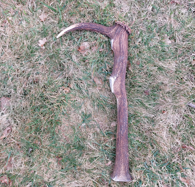 Výukový set – Parohový kopáč