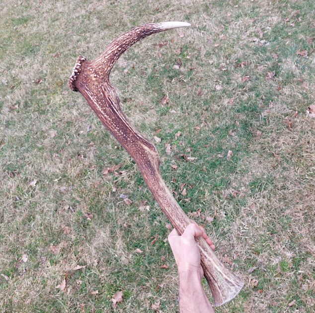 Výukový set – Parohový kopáč