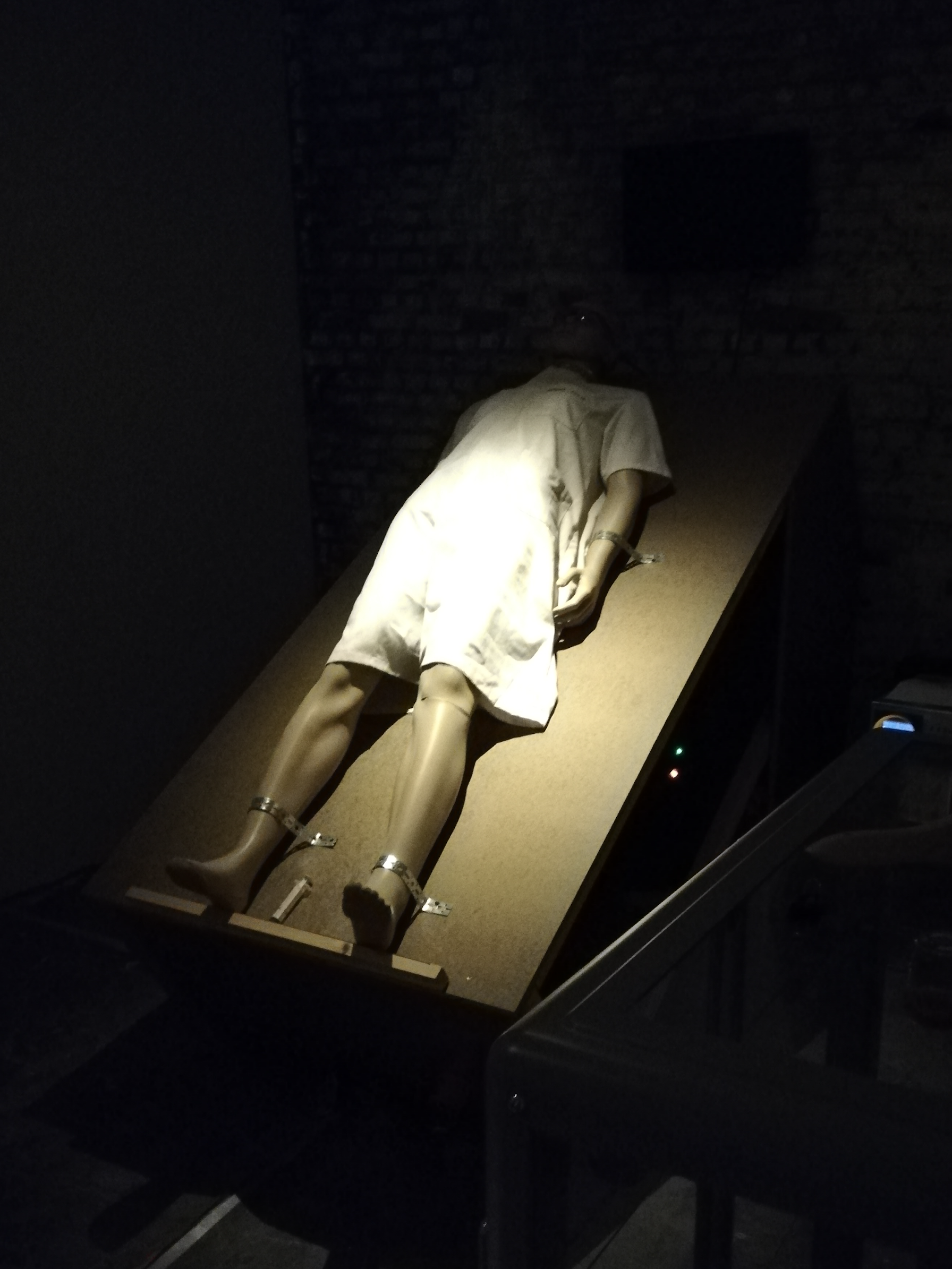 Sector Z - Hallways cover image