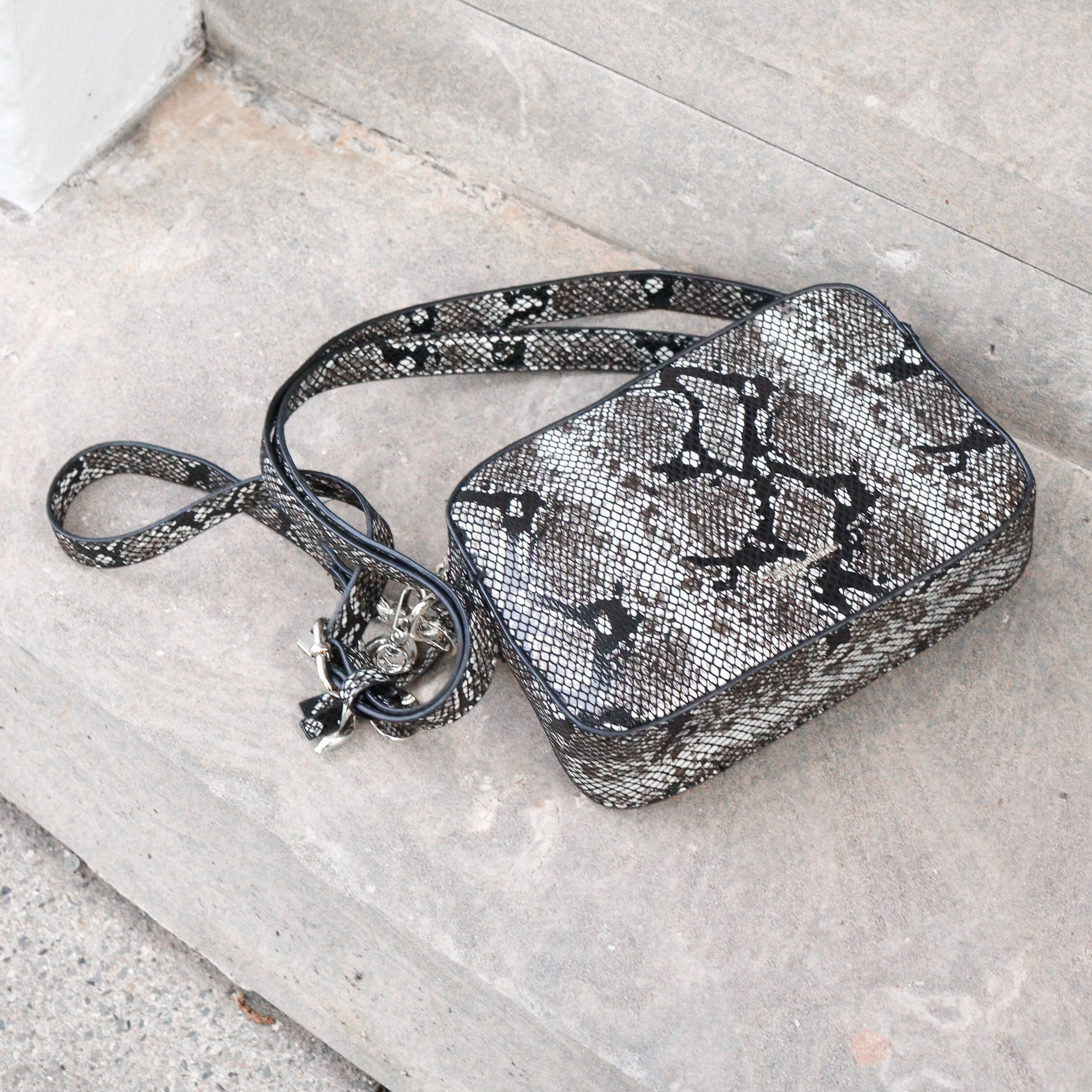 Small handbag with snake leather pattern in black and grey on concrete background, with long shoulder strap