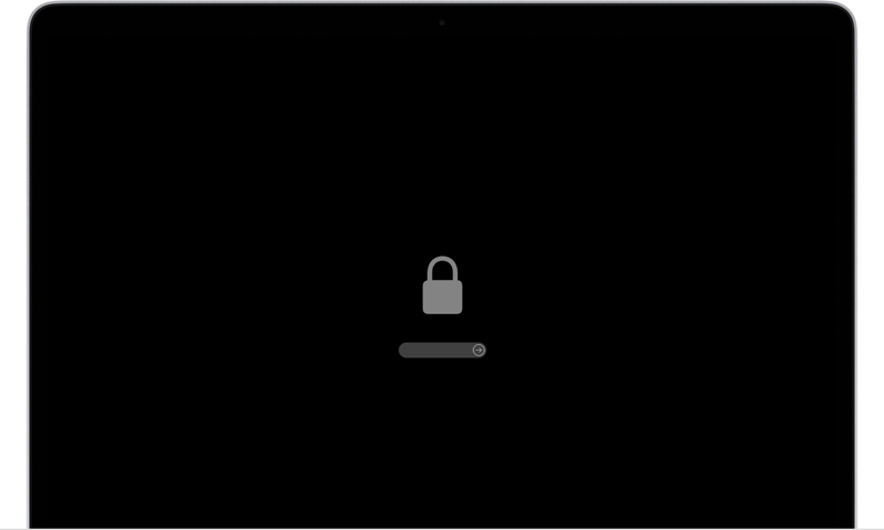 Firmware (EFI) Lock screen that appears before a device boots to the recovery partition. 