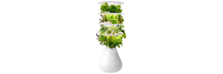 Lettuce Grow Product Image