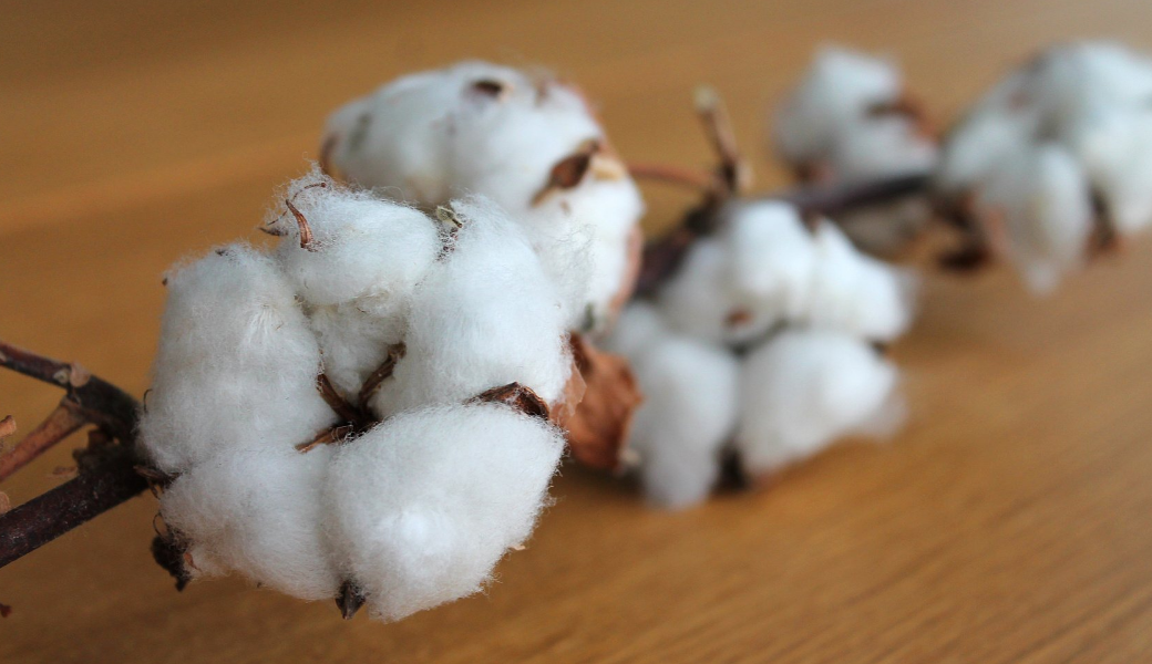 Benefits of Cotton