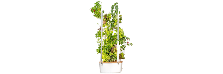 Gardyn Product Image