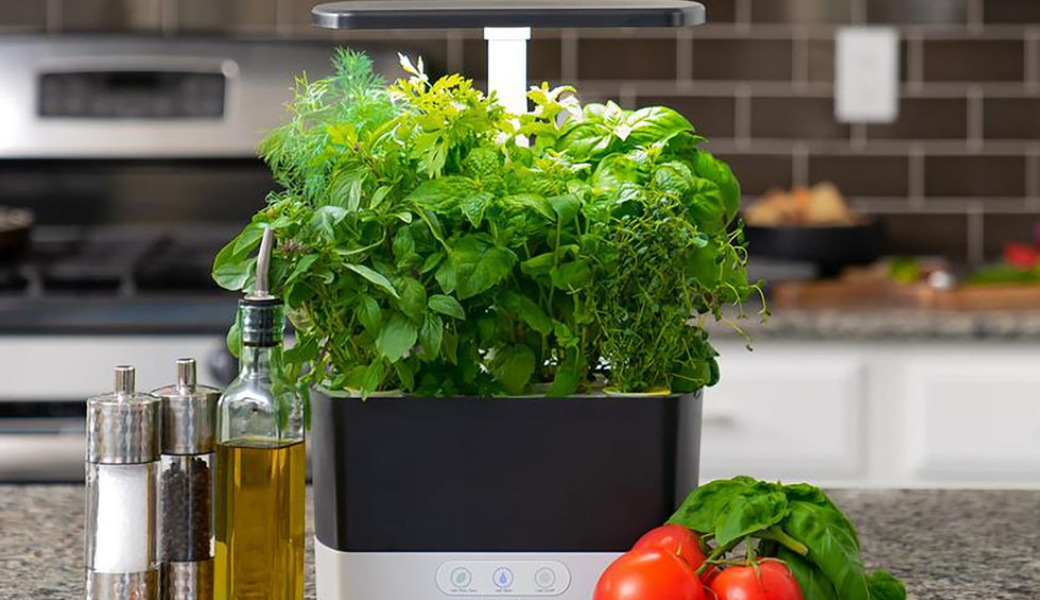 How To Clean AeroGarden How To Clean AeroGarden