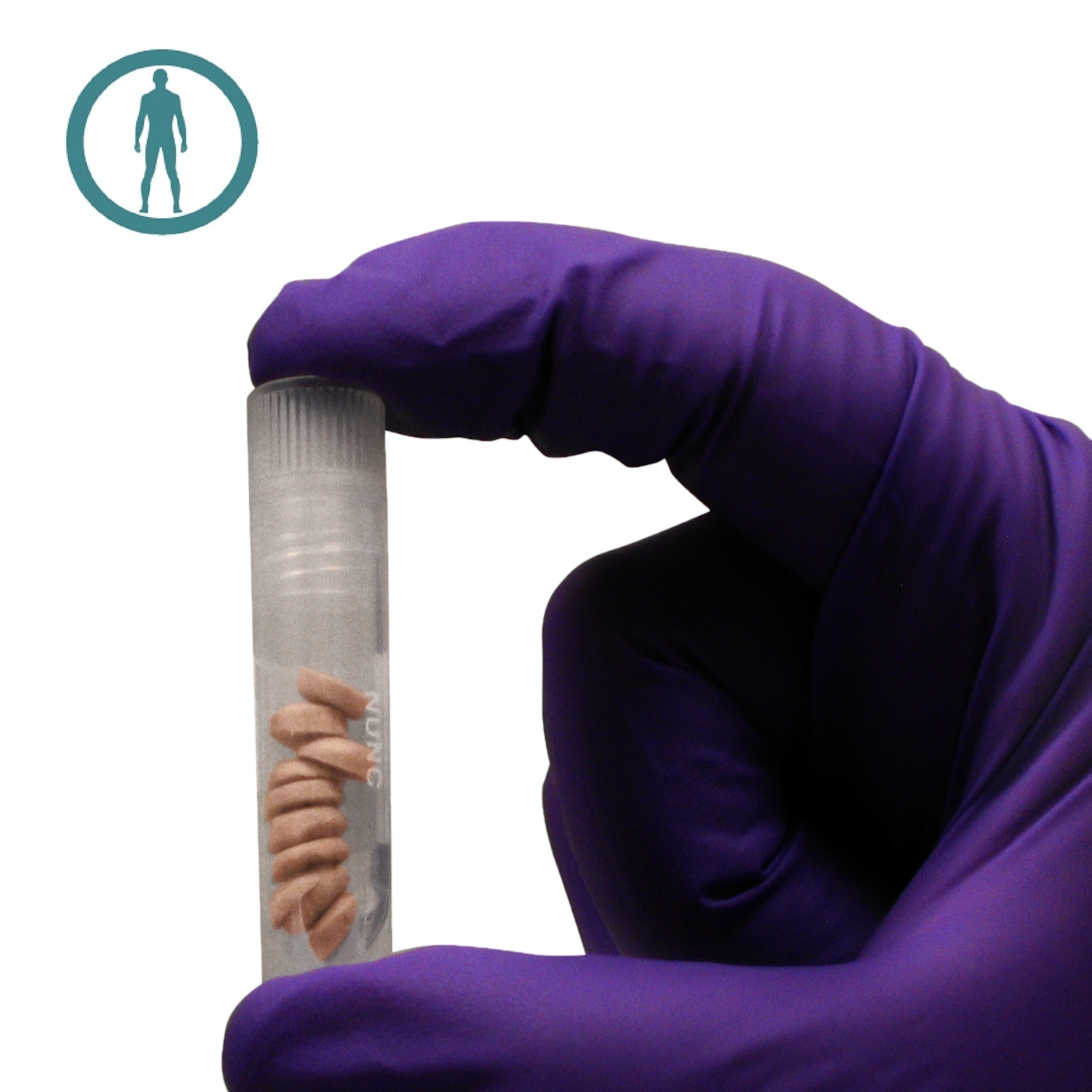 CryostaX® Individual Cryoplateable Hepatocytes