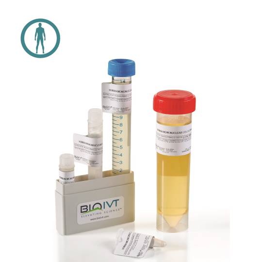 Human Cord Blood Mononuclear Cells Bioivt