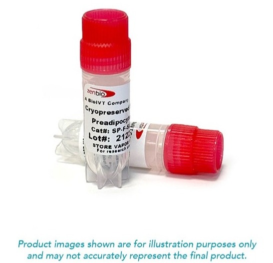 Human Cryopreserved Adult Stem Cells