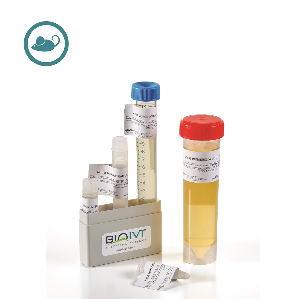 Cell Body 美容器 Buy Mouse CD8+ Cytotoxic T Cells, Fresh & Cryopreserved | BioIVT